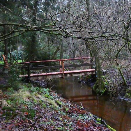 Ferienwohnung Niemann In Lutterloh Unterluss Esterno foto