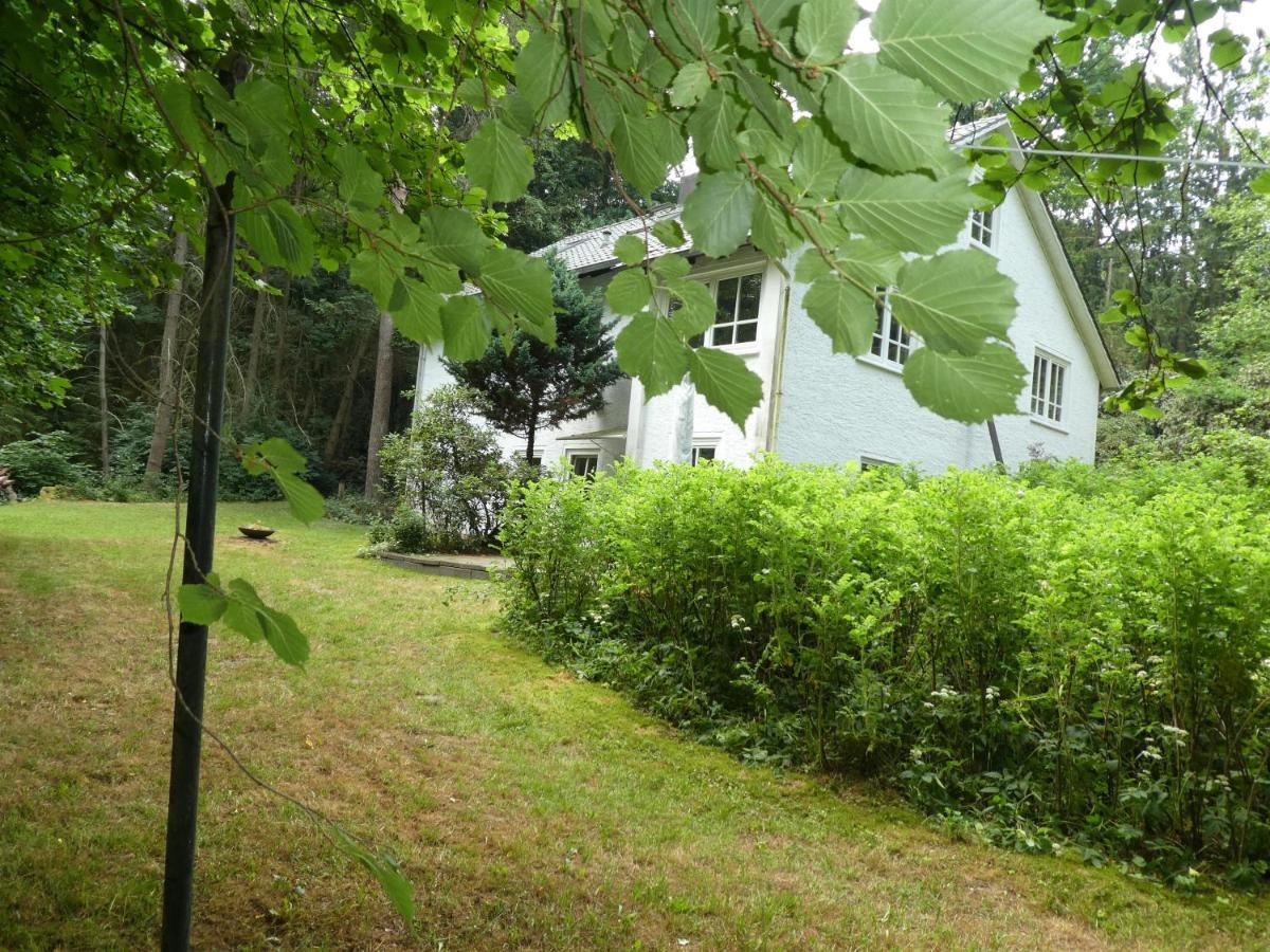 Ferienwohnung Niemann In Lutterloh Unterluss Esterno foto